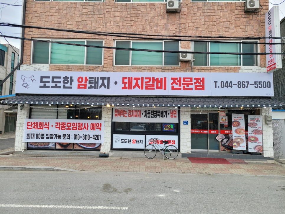 도도한암퇘지 이미지