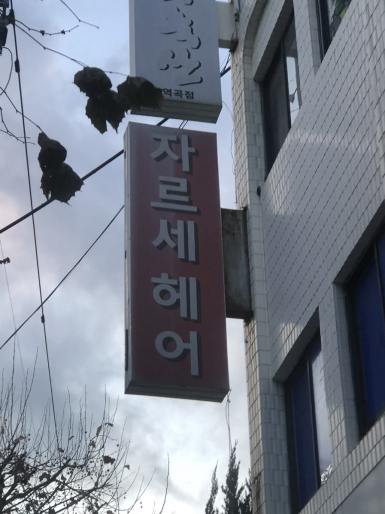 자르세헤어 이미지