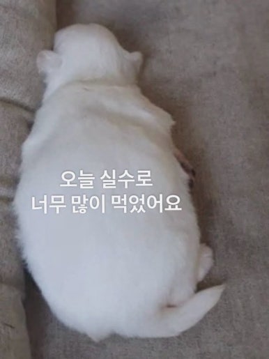 보코보코 마포본점 이미지