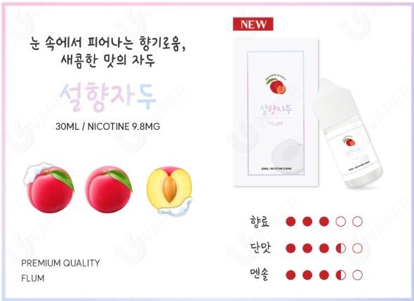 잠실너구리 이미지