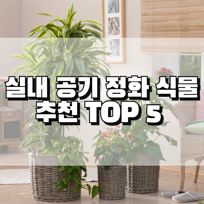 정화종합인테리어 이미지