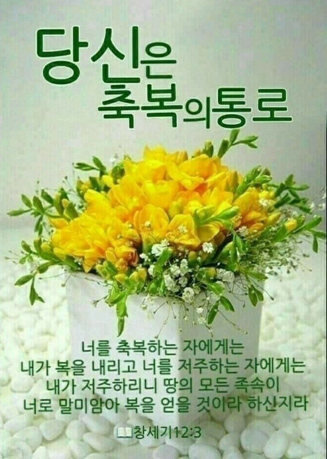 (주)늘푸른수산 이미지