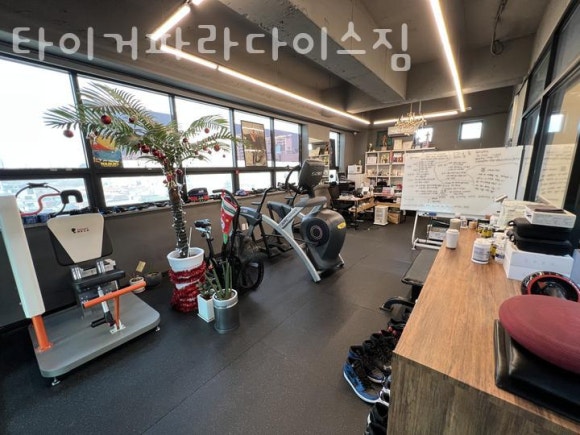 타이거파라다이스짐 이미지