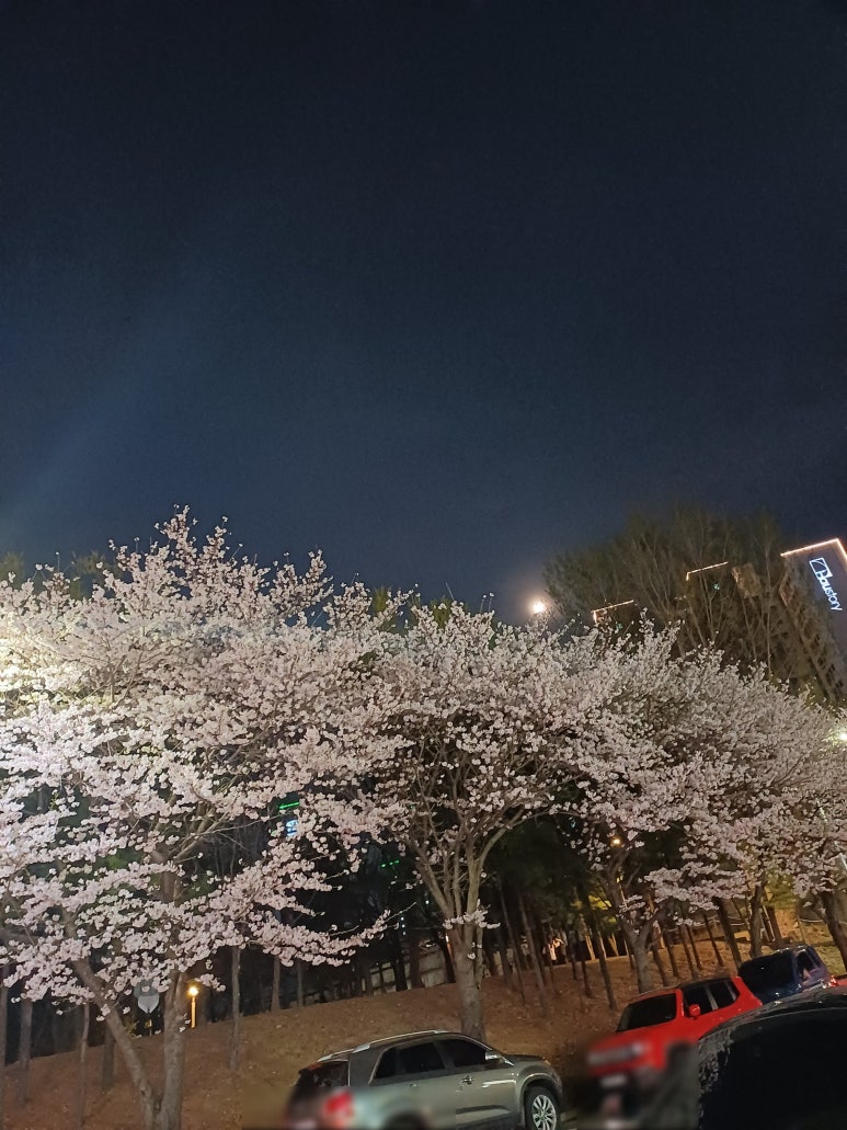 벤뎅이포장마차 이미지