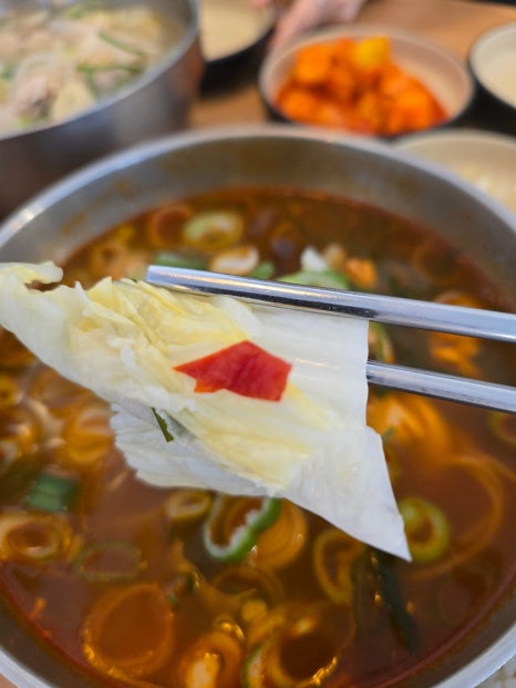 오늘은 어떤 닭 이미지