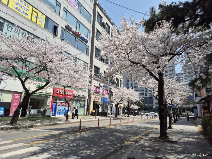진명주유소 이미지