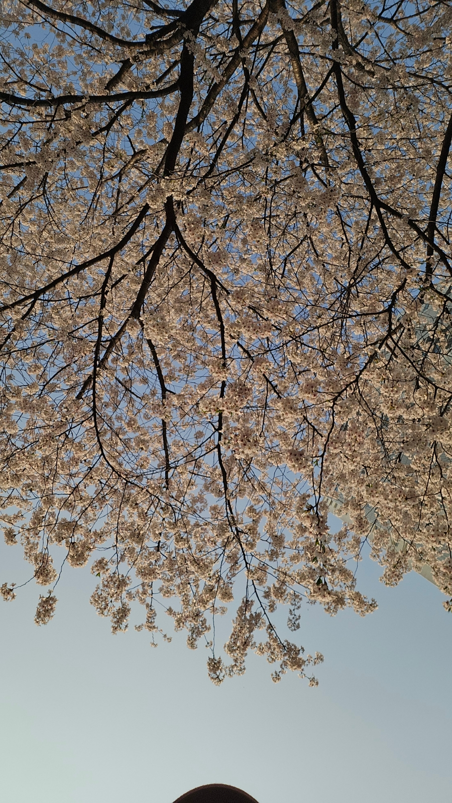 용인로또복권방 이미지