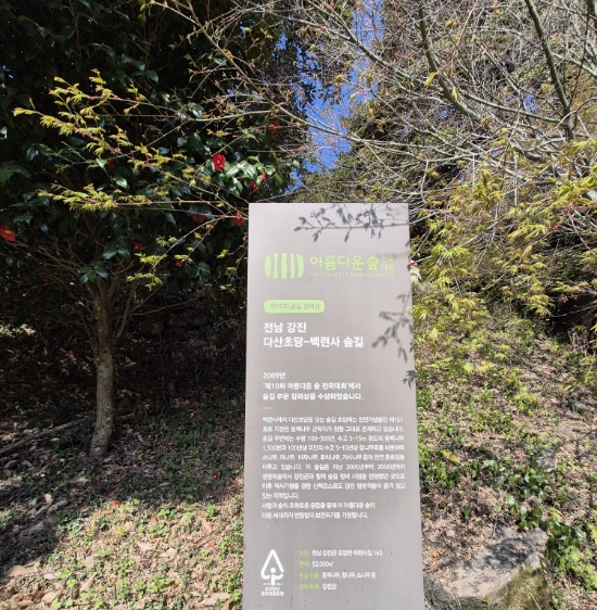 꽃숲 이미지