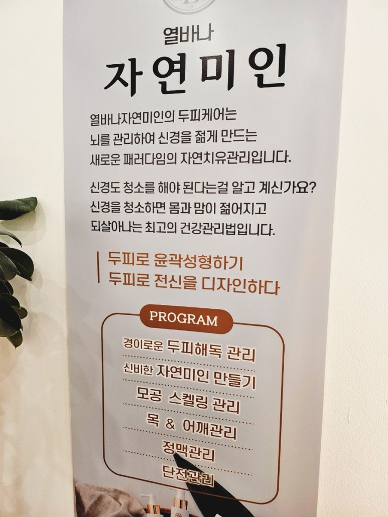 열바나자연미인 이미지