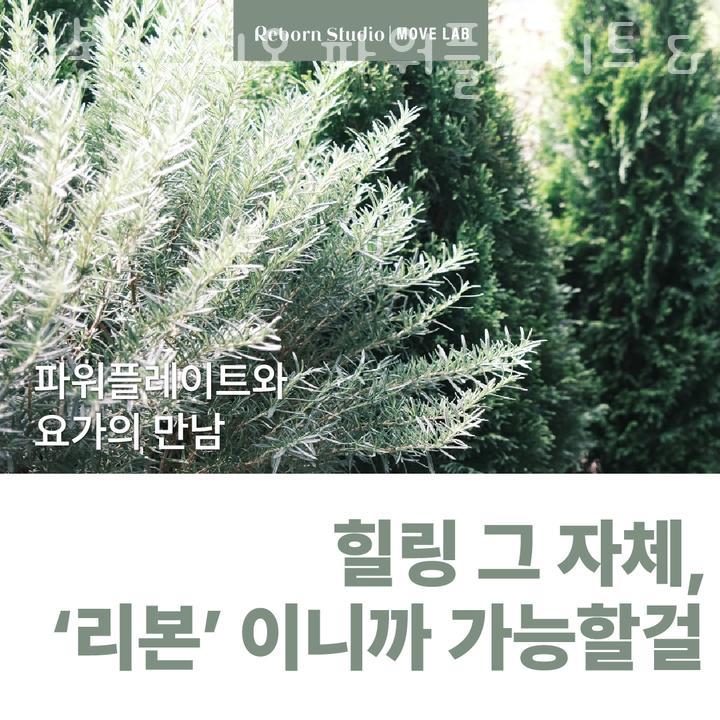 리본스튜디오 파워플레이트 & 무브랩 이미지