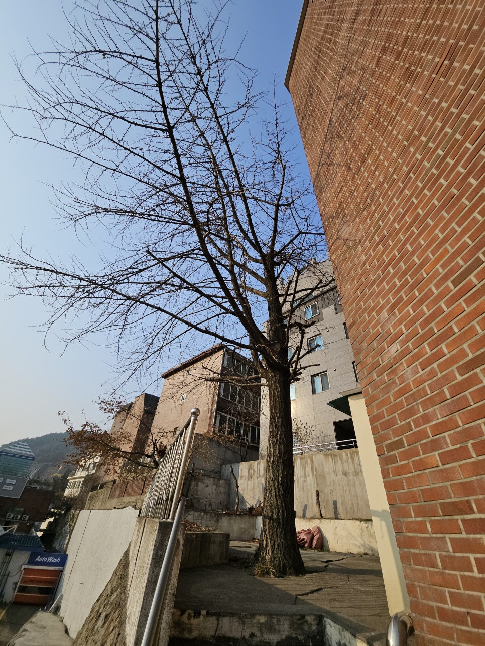 큰나무주유소 이미지