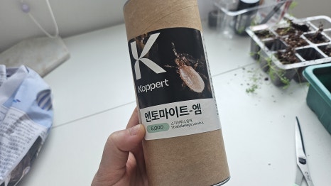 엠퍼트 이미지