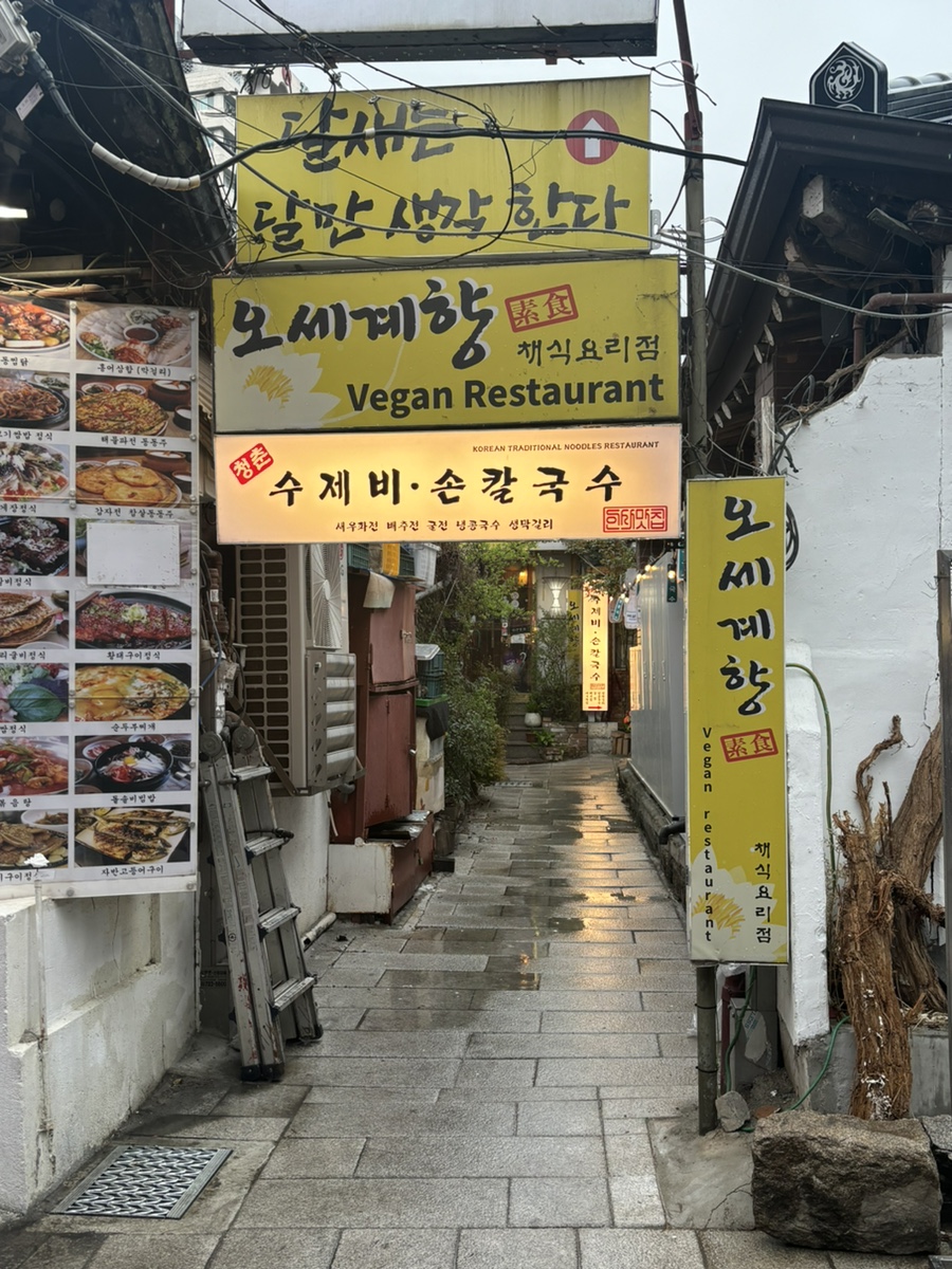 인사동청춘수제비 이미지