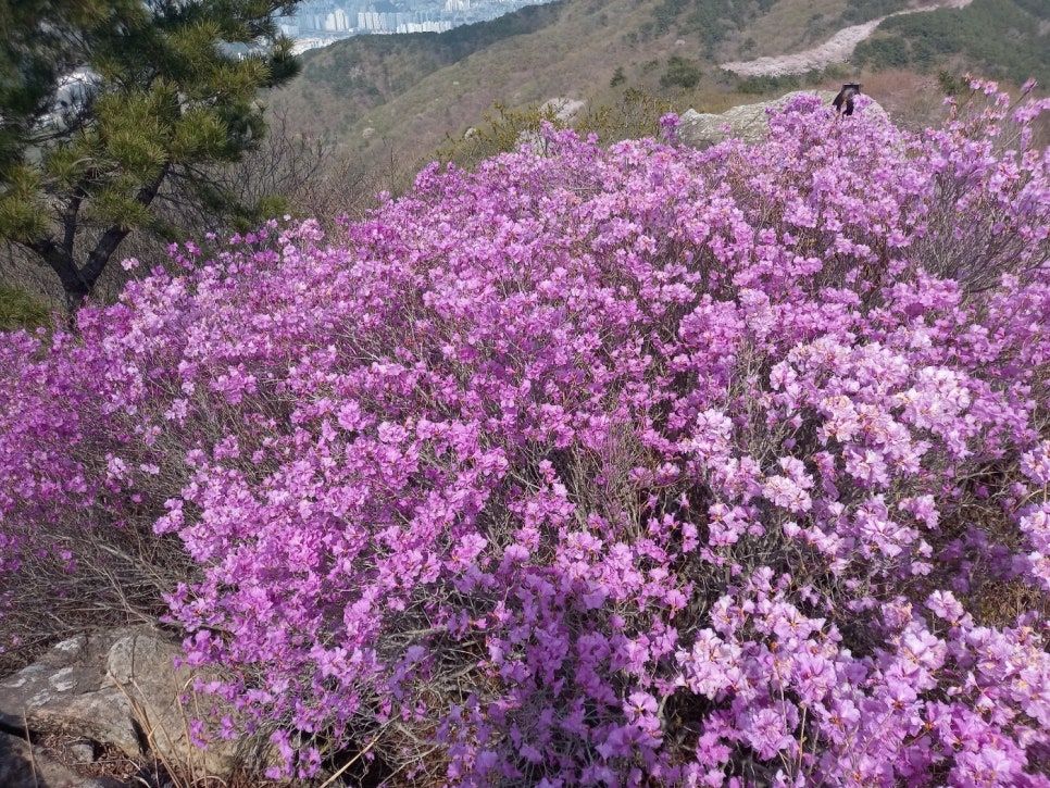 대박복권 이미지