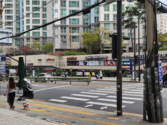 탐앤탐스왕십리센트라스점 이미지