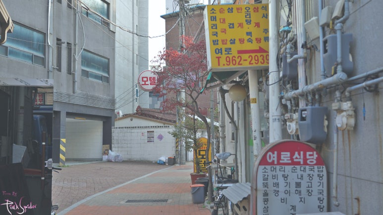 카츠정연 이미지