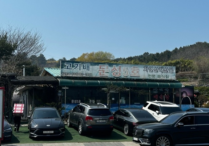 문성5호 이미지