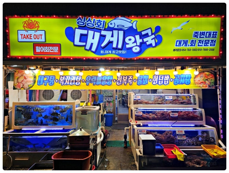 싱싱회 이미지