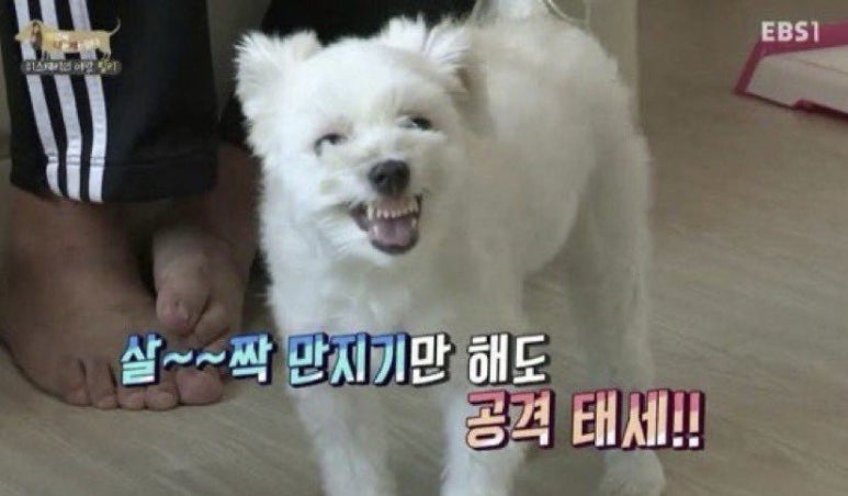 광명자동차 이미지