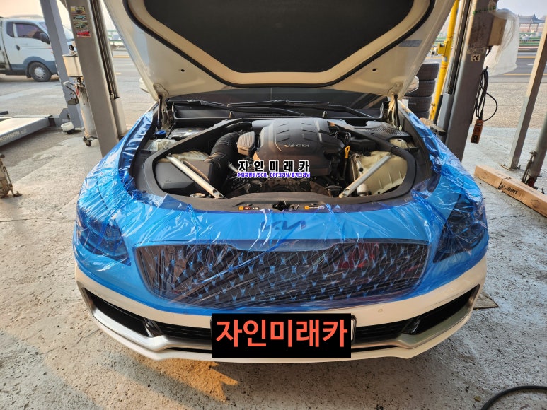 자인미래카 이미지