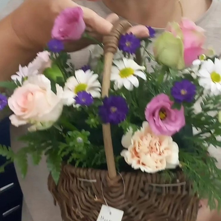모리하루 이미지