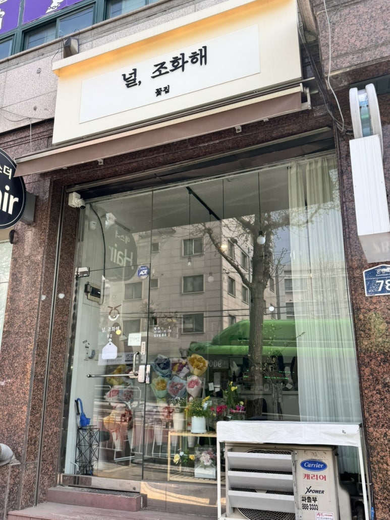 널;조화해 이미지