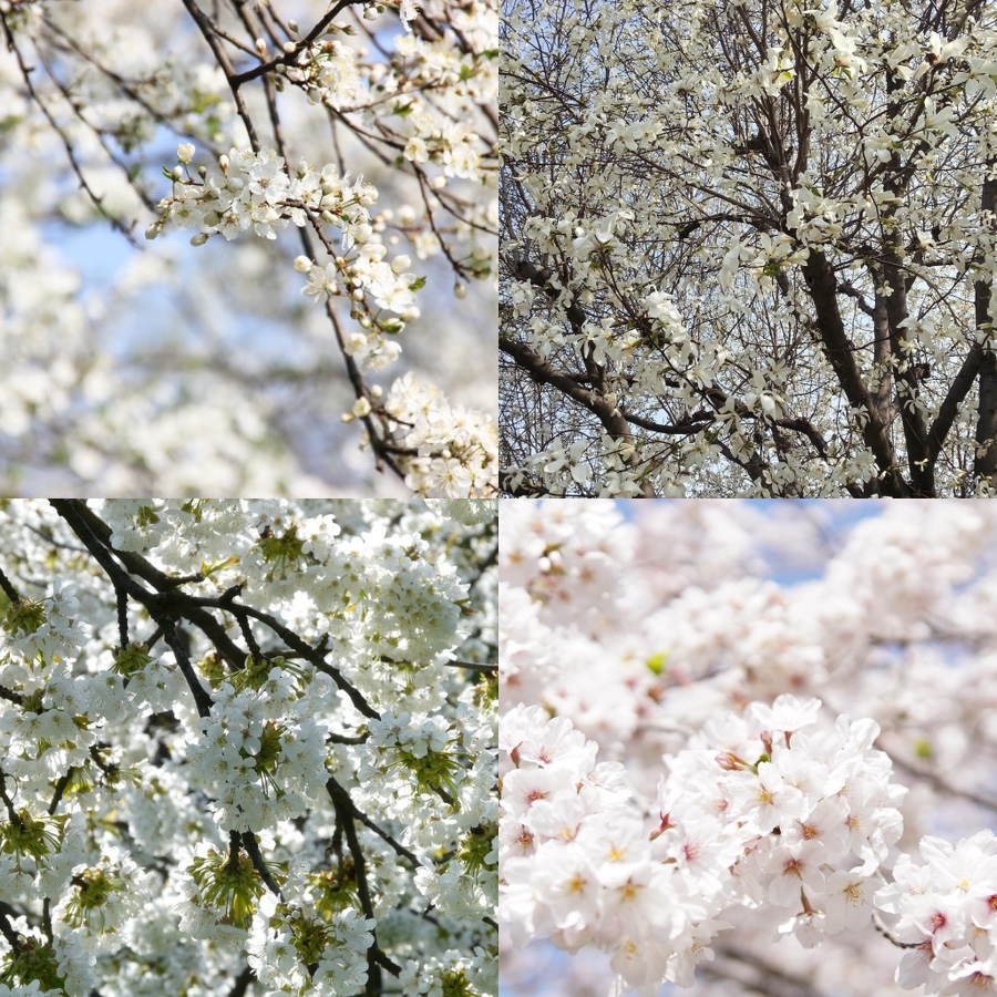정광레포츠 이미지