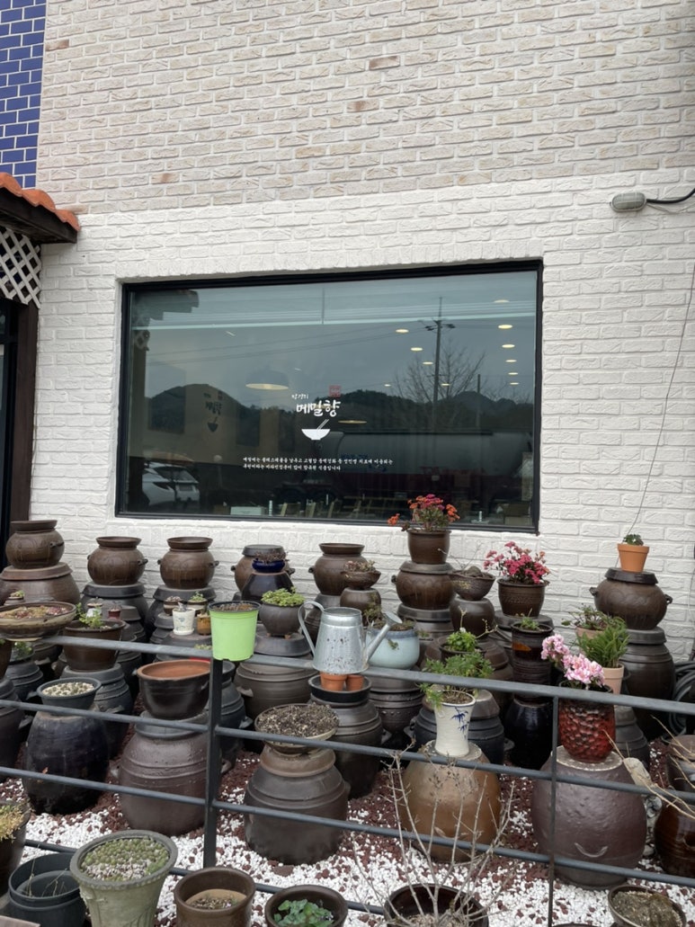 박경리메밀향 이미지