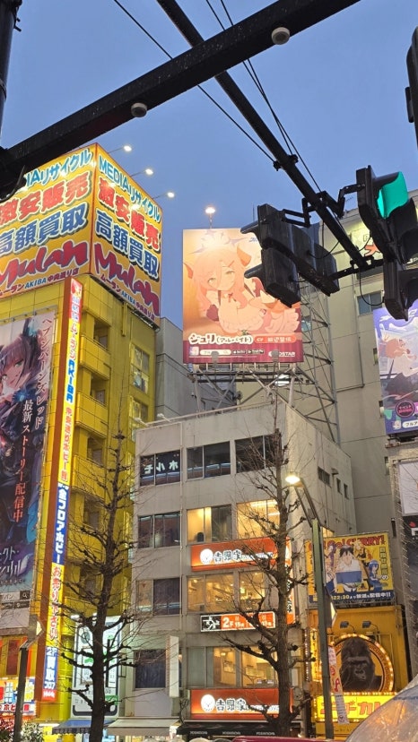 홀덤광장 이미지