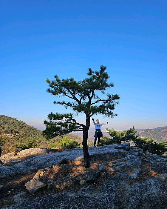 힐링진 이미지