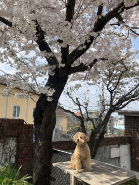 이성산칼국수 이미지