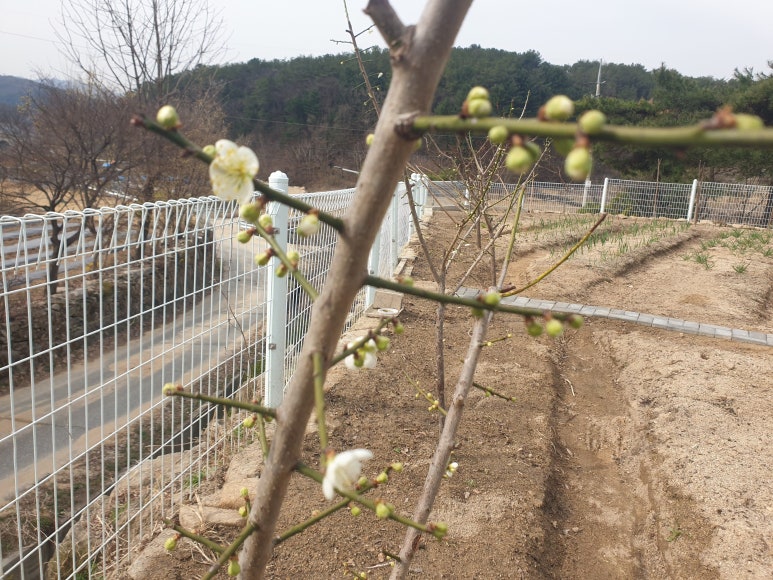(주)다투어 이미지