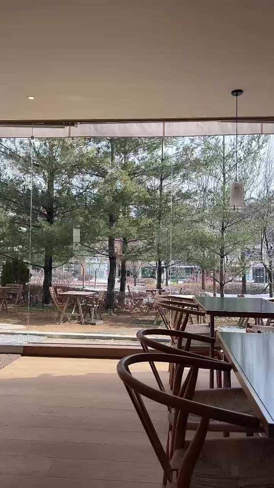 그라비에 이미지