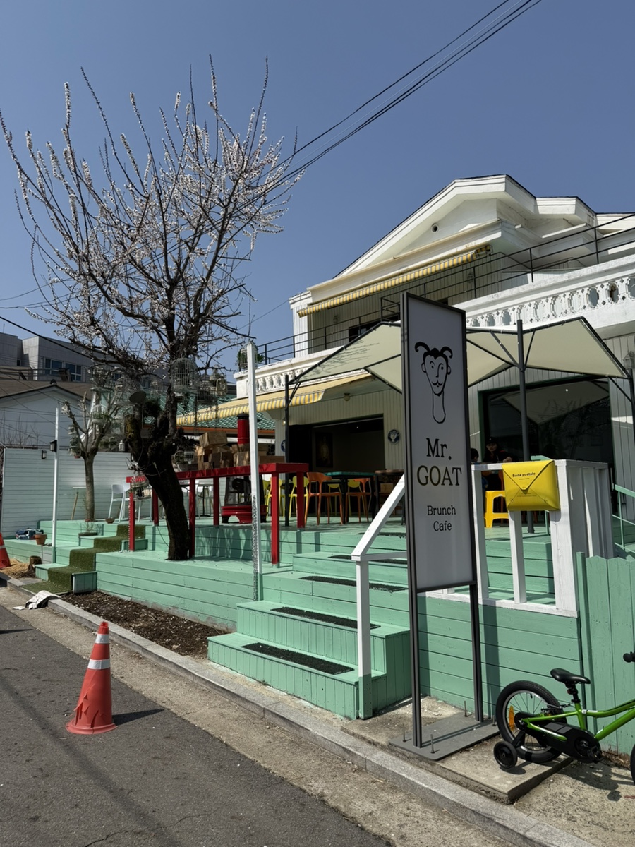 미스터고트 이미지