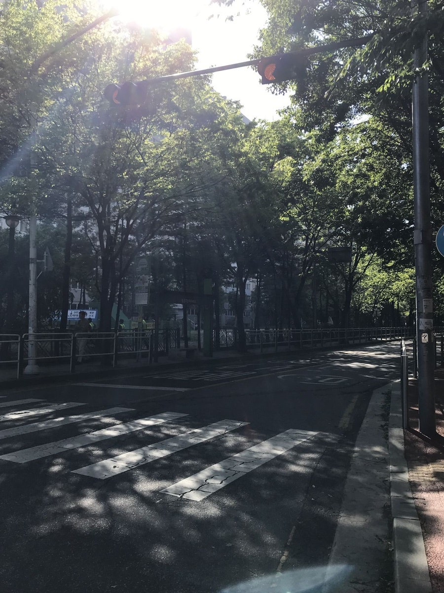그계절 이미지