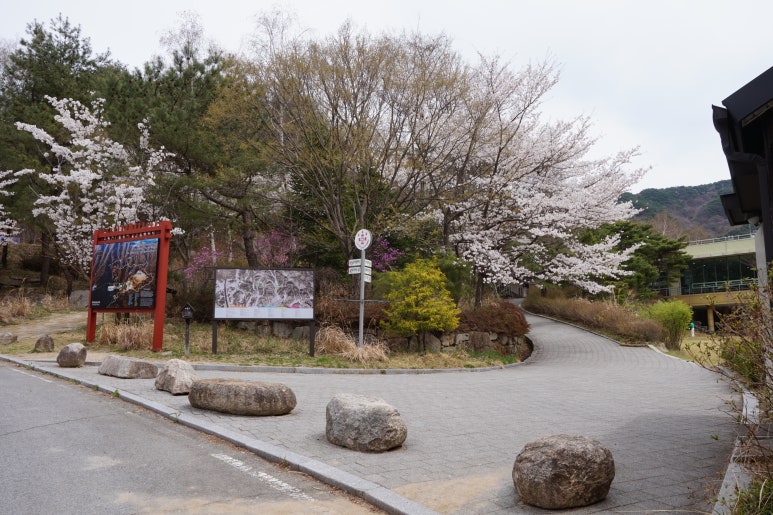 세나투스주 이미지