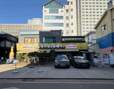 정사장네갈매기 이미지