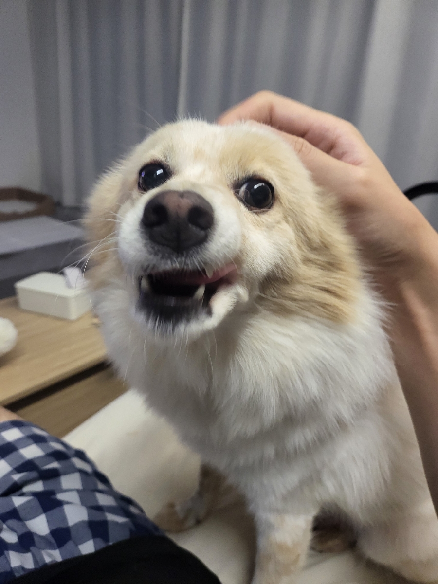 꽃들마루 이미지