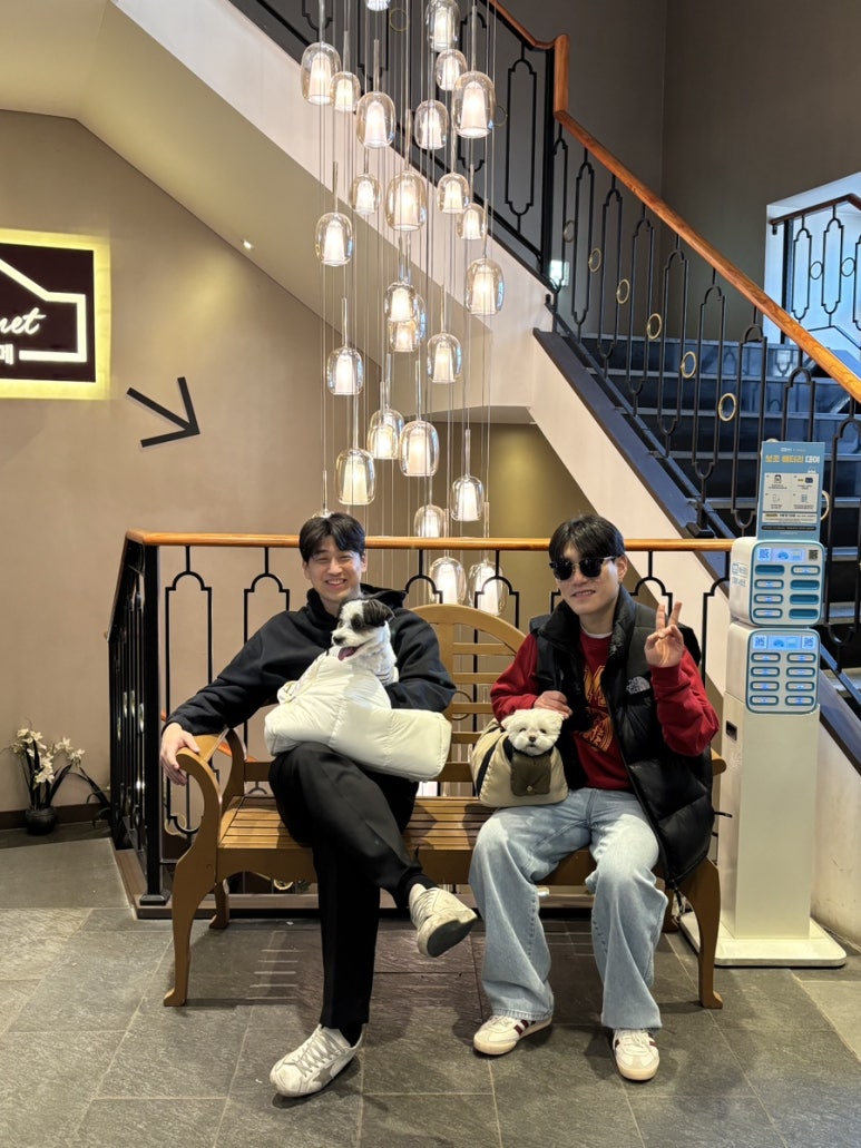 랜드글램핑 이미지