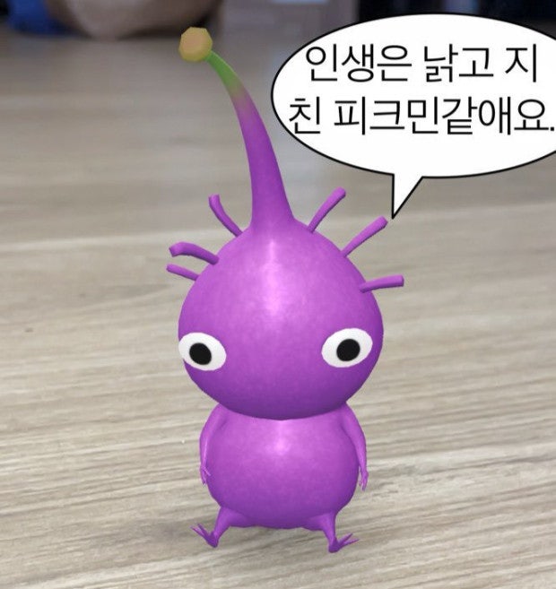 다봐 이미지