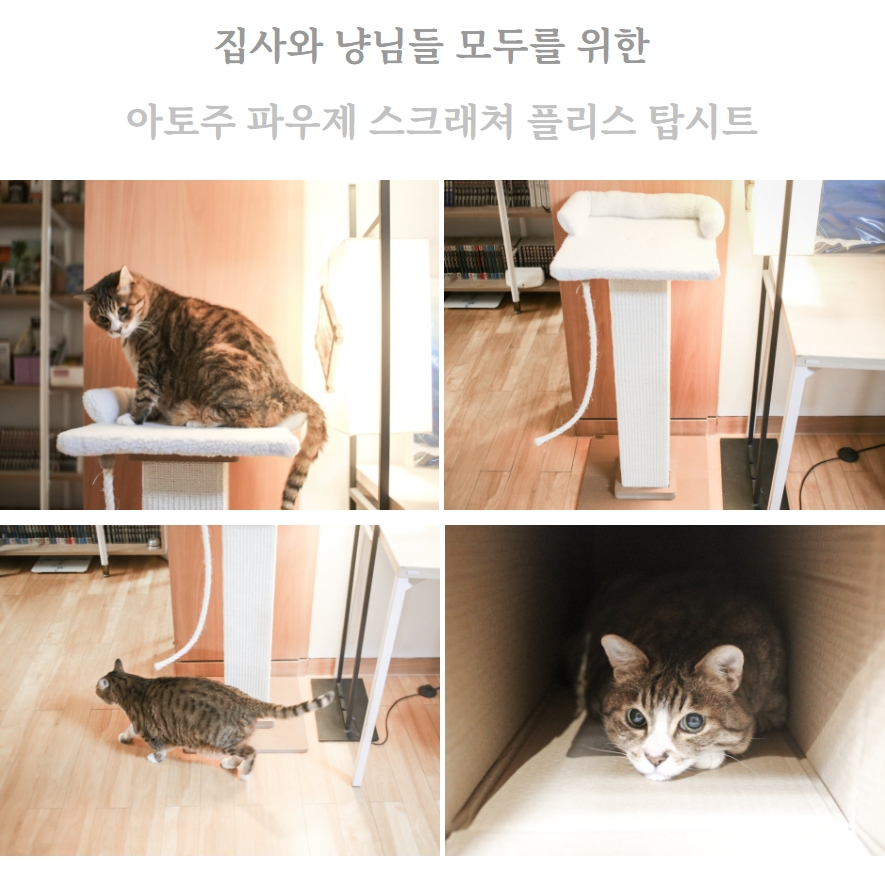 (주)파우제 이미지