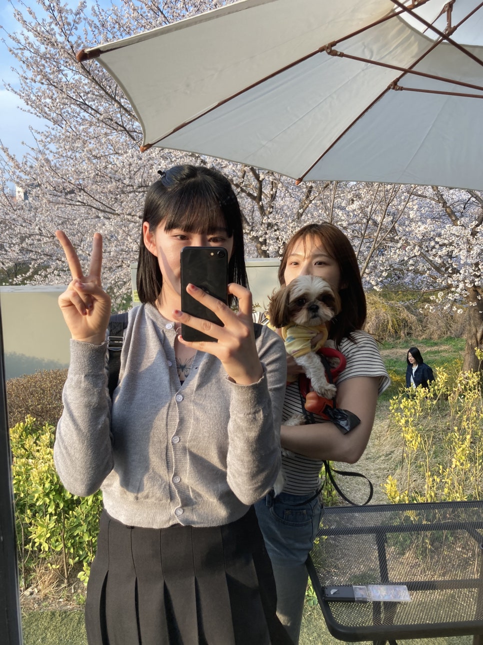 카페레브 이미지