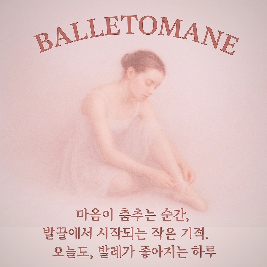 발레뜨망 이미지