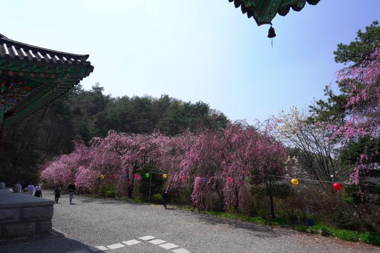 조화불교사 이미지