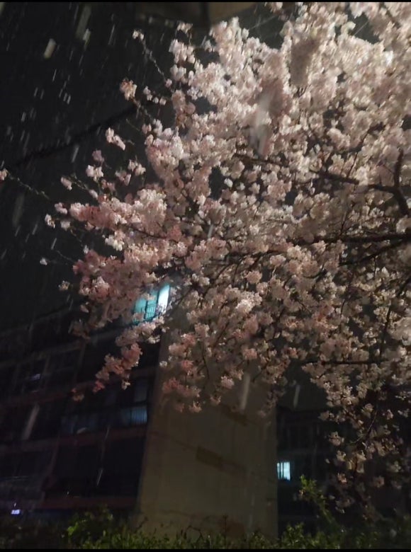 함흥냉면명동칼국수 이미지