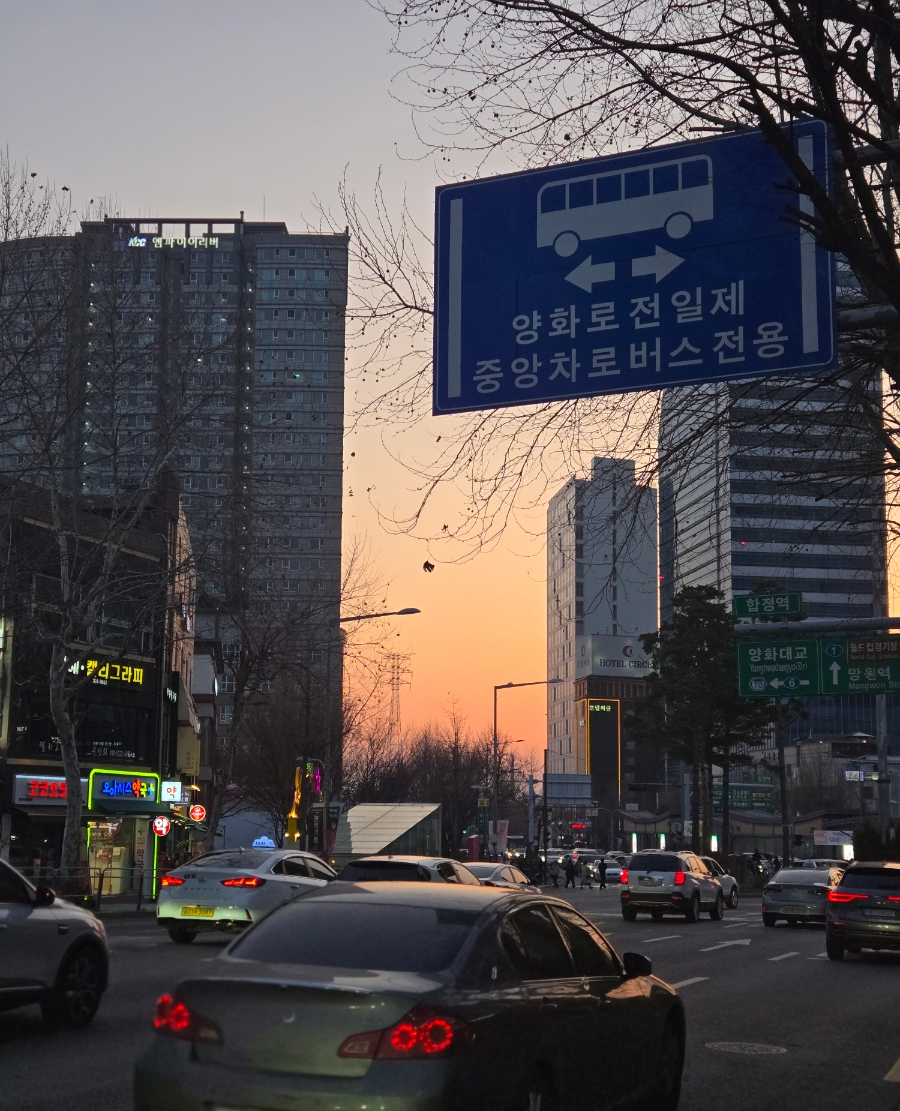 미도사 이미지