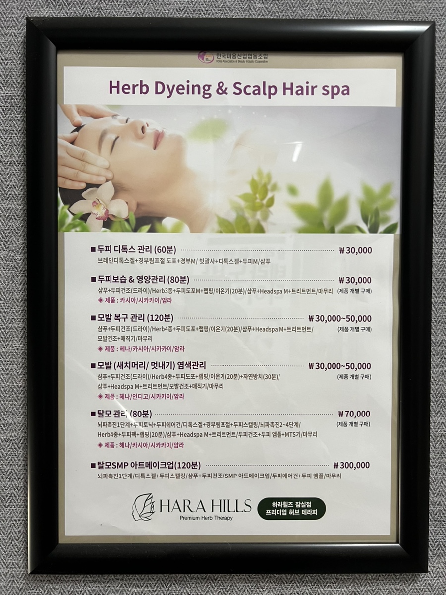 크린브레인 이미지
