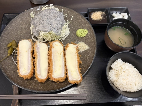 엘리카츠 이미지