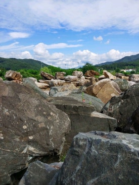 단양조경석(주) 이미지