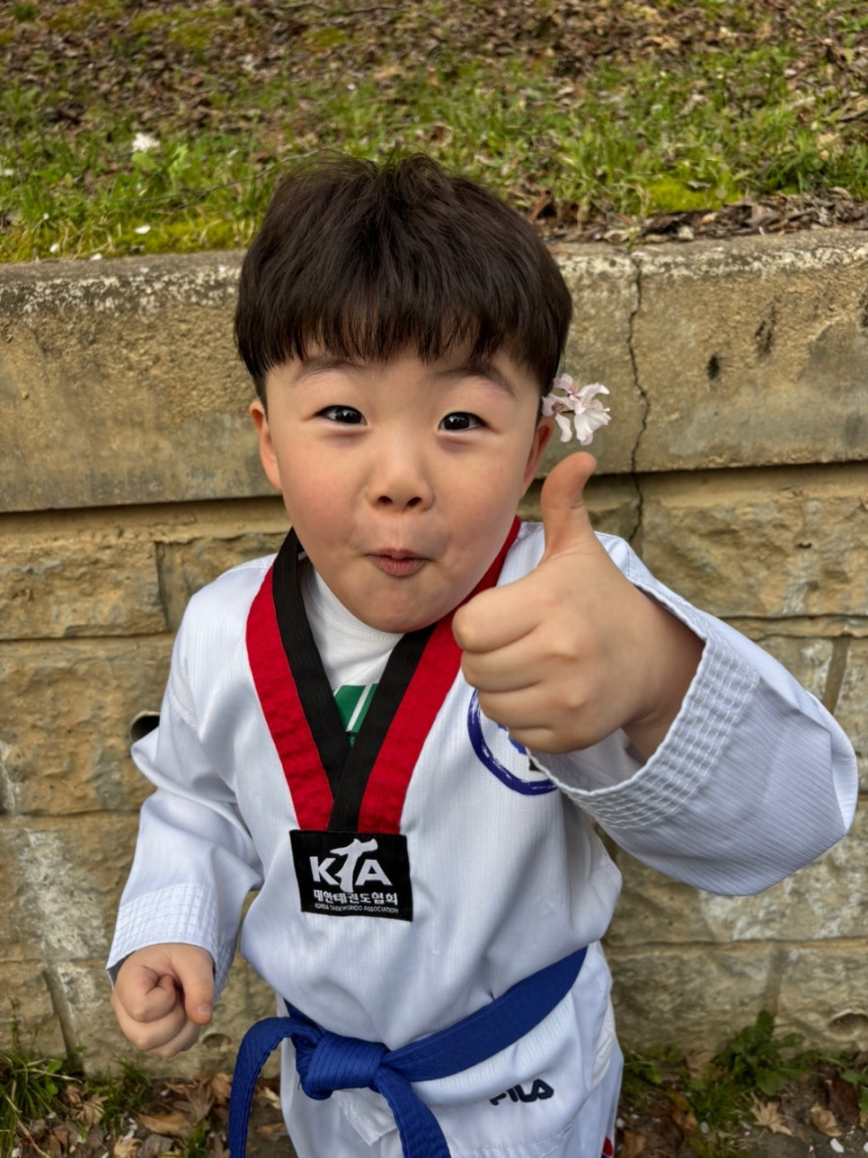 성화초등학교 이미지